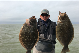 Galveston Bay's Large Flounder